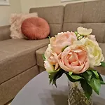 Ma Maison Rose Daire