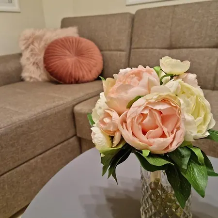 Ma Maison Rose アパート