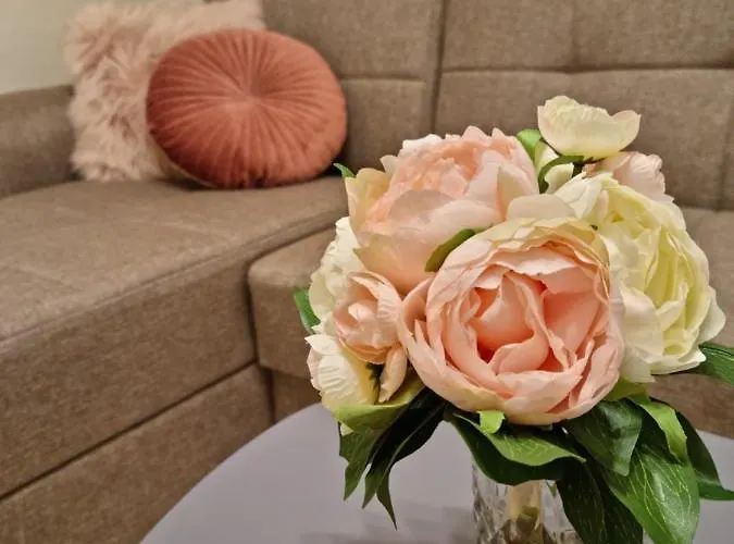 Ma Maison Rose Apartment